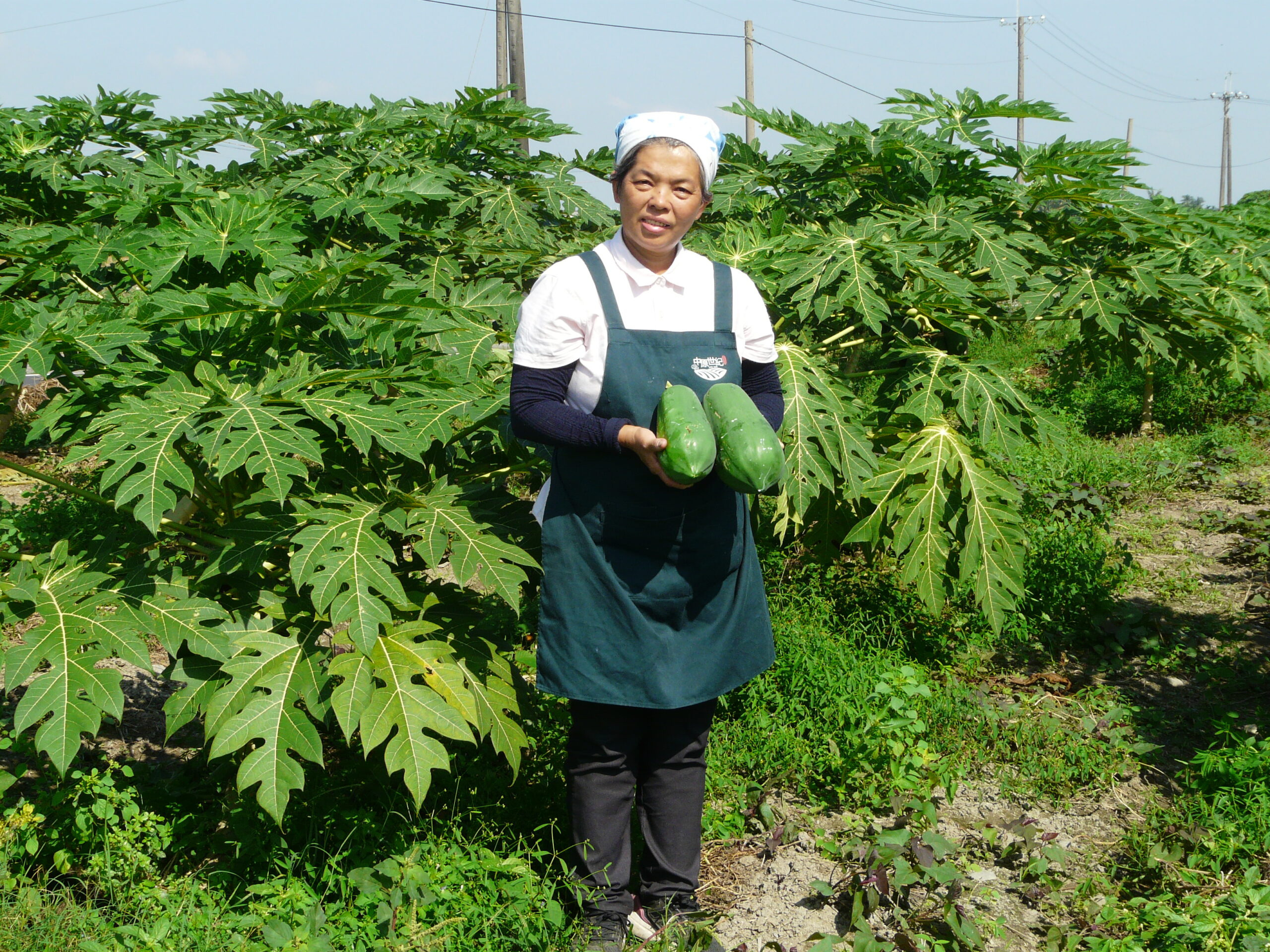 ฟาร์มเพื่อการพักผ่อน จางหยวน เซ็นจูรี่(中原世紀休閒農場 ) | Gogo-TaiwanFarm