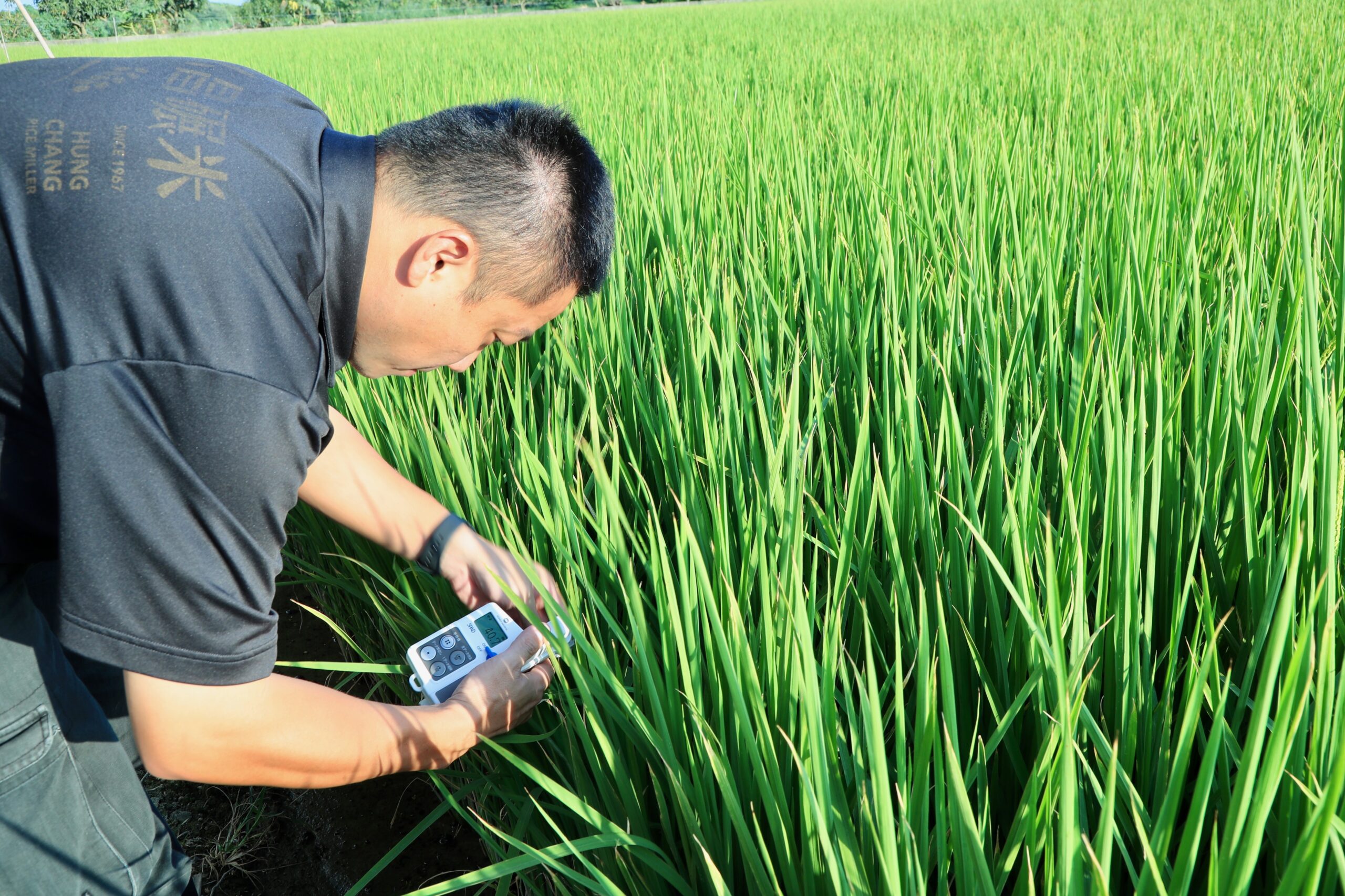006弘昌碾米廠導入多樣智慧農業儀器檢測稻米的含水量、土壤與病蟲害等數據，對症下藥與調整播與收割日期，讓稻米品質更好。002