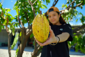 คาเคายัมมี่ ช็อกโกแลต เอสเตท (可可雅米巧克力莊園)