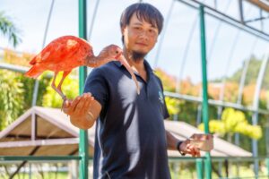 สวนสัตว์จิ่วจิ่วฟง (九九峰動物樂園)